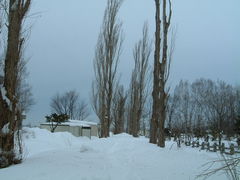 ҂Ђ񂳂̖k|v؂ւ̓eʐ^1