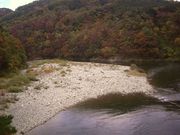 tikaokȃ̑i퉷򋽁j̓eʐ^1