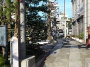 �x����̌����_��(���ٓV)�̓��e�ʐ^2