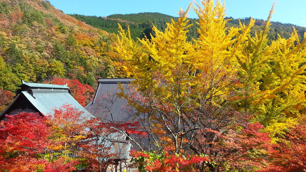 長野の動物園 植物園ランキングtop10 じゃらんnet