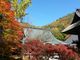 トムさんの霊松寺の投稿写真1