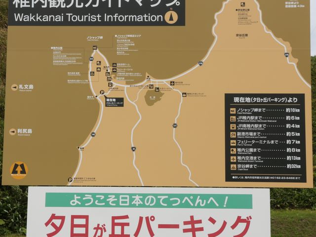 ��݂R�`�S���ʗL��傫�ȊŔ�_�[�����u�p�[�L���O