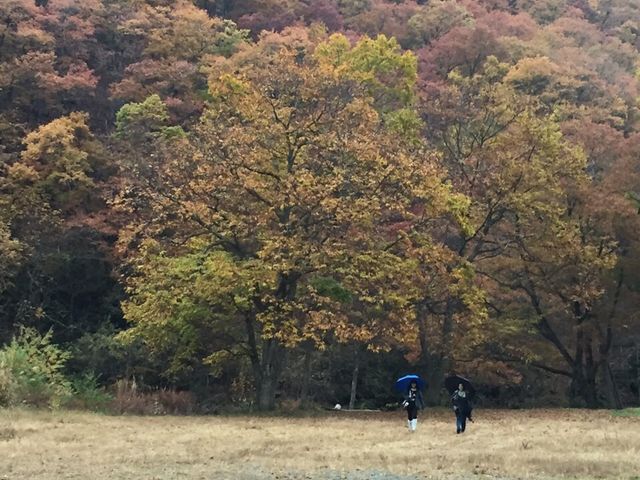 ����̒T���c���J_�H�_����