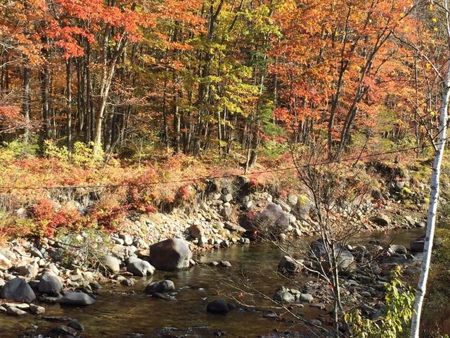 ����̒T���c���V_�H�_����