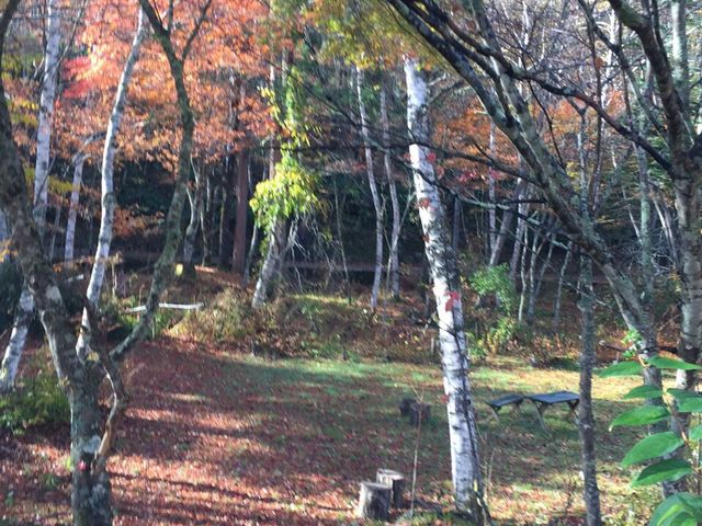 ����̒T���c���V_�H�_����