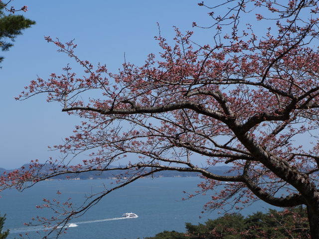 ���J�܂ł܂��������������ł����A�����p�����n���镗�i�ƍ��̌i�F���Y��ł����B_���s�߂��̏������̍�