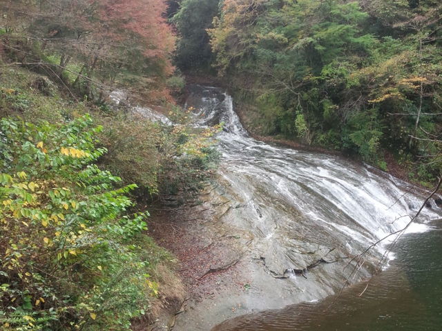 �c�O�ł���_�{�V�k�J