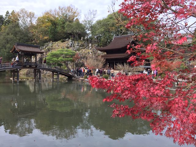 �g�t�ƍ���ω���_�i�ێ��ω���