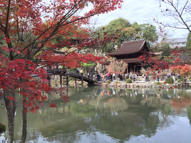 �g�t�ƍ���ω���_�i�ێ��ω���