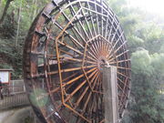 ����҂�����̊ω����Ԃł��܂邭��̓��e�ʐ^1