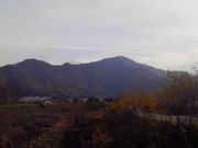 т񂱂̎䑾YR̓eʐ^1