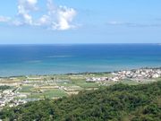 �͂Ȃ���񂳂�̒���p�E�����p�̓��e�ʐ^1