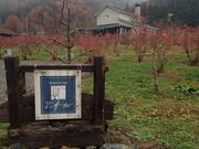 ˂̃eBAEc[@ʎƃJtF̓eʐ^2