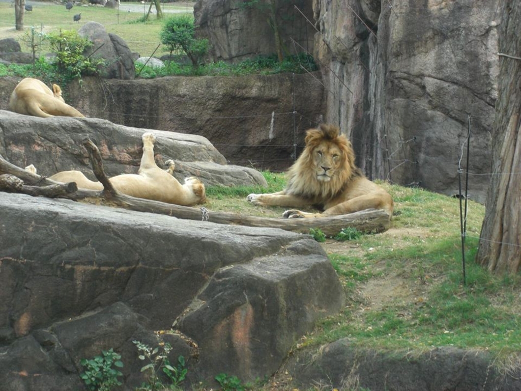 天王寺動物園