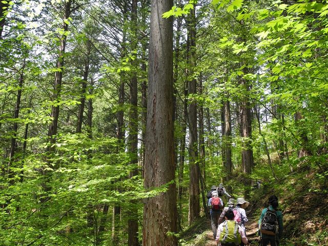 �ԑ�X�ї����̊w�p�����R�[�X_�ԑ򎩑R�x�{��