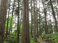 Marko̐ԑ򎩑Rx{тւ̓eʐ^1