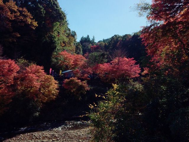 �g�t_�{�V�k�J