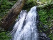 gRi[ỶFÍ]l\̓eʐ^1