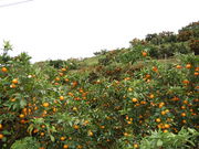 q񂳂݂̏񋤓_̓eʐ^2