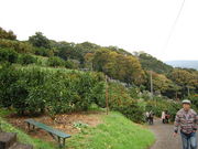 q񂳂݂̏񋤓_̓eʐ^3