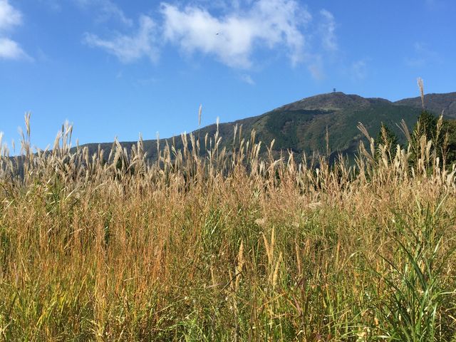 ��Ό�����