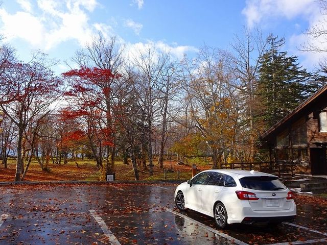 �X�𔲂���ΗV���D����܂ŕ����Ă�����悤�ł��B�U������������B_�x┌Ή���