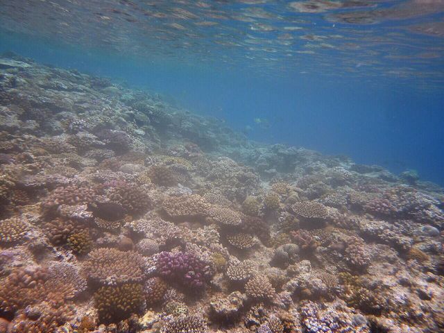 �^�h�c��_��g�ݐؐ�墊C�̗V�я��@�Ȃ��䂭���