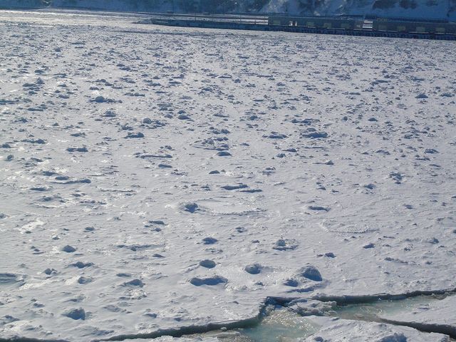 `̊O͑SX̂łA`ɂ͂̒ʂcĂ܂B_ԑXόӕXD[