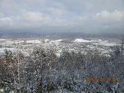 ܁[񂳂̑唨RW]̓eʐ^1