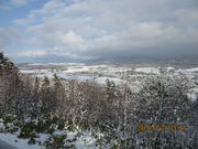 ܁[񂳂̑唨RW]̓eʐ^2