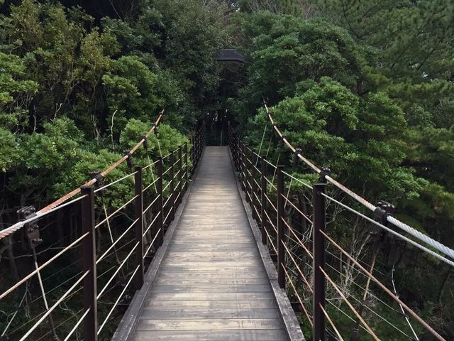 �苴_�O���[�g�l�C�`���[�c�A�[�Y