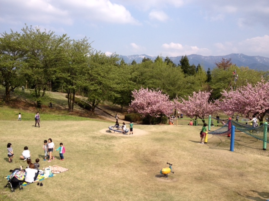 高岡 氷見 砺波の公園 庭園ランキングtop10 じゃらんnet