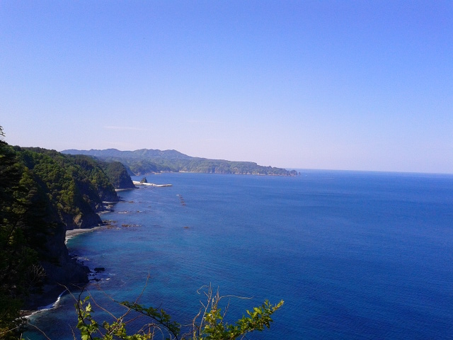 �L�̑��f�R_�L�̑��f�R