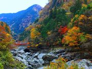 p7777777݂̂炢kJ̓eʐ^1