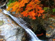 p7777777݂̂炢kJ̓eʐ^4