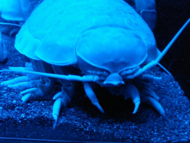 ӊOƉO\NV@yỸO\NbVIꌩ̉lHI_Í`[Cف`V[JXE~[WA`