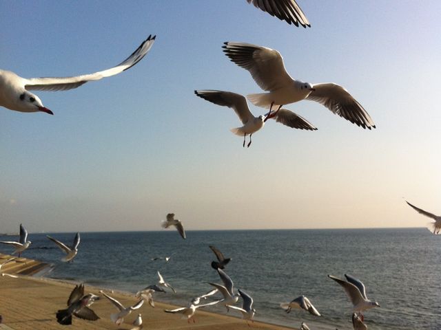 �J���������ł�_�|��