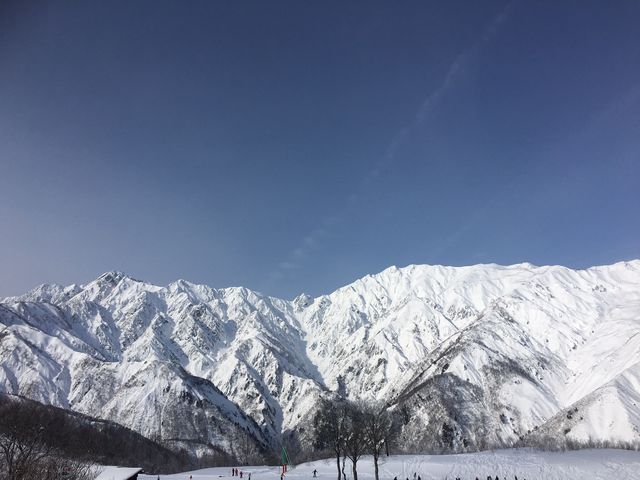 ��i�I_Hakuba47�E�B���^�[�X�|�[�c�p�[�N