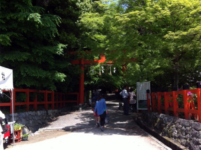 ��c�_��_��c�_��