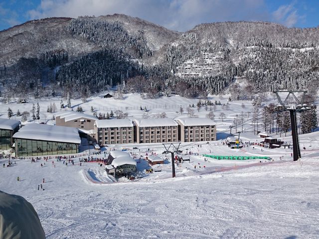 �t���܂ł�_���������X�L�[��