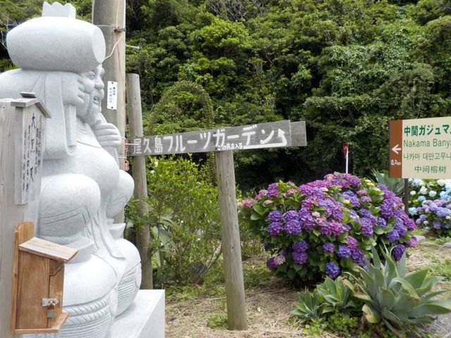 ���v���t���[�c�K�[�f���i�p�p�C���̗��j_���v���t���[�c�K�[�f���i�p�p�C���̗��j