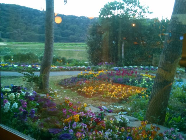 JtF̑̕iBYȃK[fjOB_̉wƂ݂fy