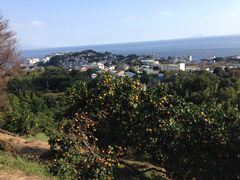 happy.happy̎ň_@ӂڂւ̓eʐ^1