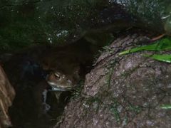 ̐EW ANAggӂւ̓eʐ^2