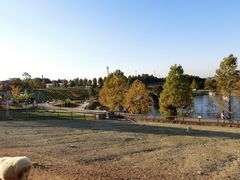 A̍䥗΂̃~[WA n[xXg̋uւ̓eʐ^1