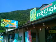 usa̓̉w Vz a̐Xق̓eʐ^1