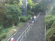 の 日本 石段 一 超過酷！日本一周していて、一番へこたれた「日本一の石段」の全貌をご紹介