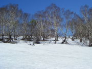 tuka̐ᒆsRLO̓eʐ^1