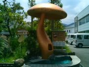 usaTOKYO RUSK ɓt@Ng[̓eʐ^1