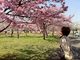 るんさんの富山県中央植物園の投稿写真1
